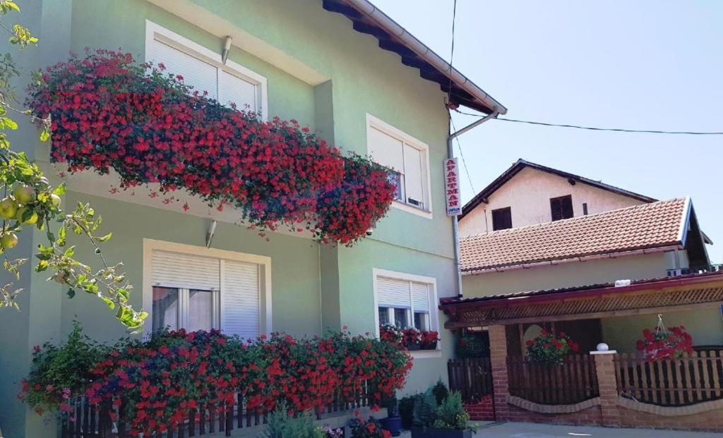 Ana Apartman Gračac Kültér fotó