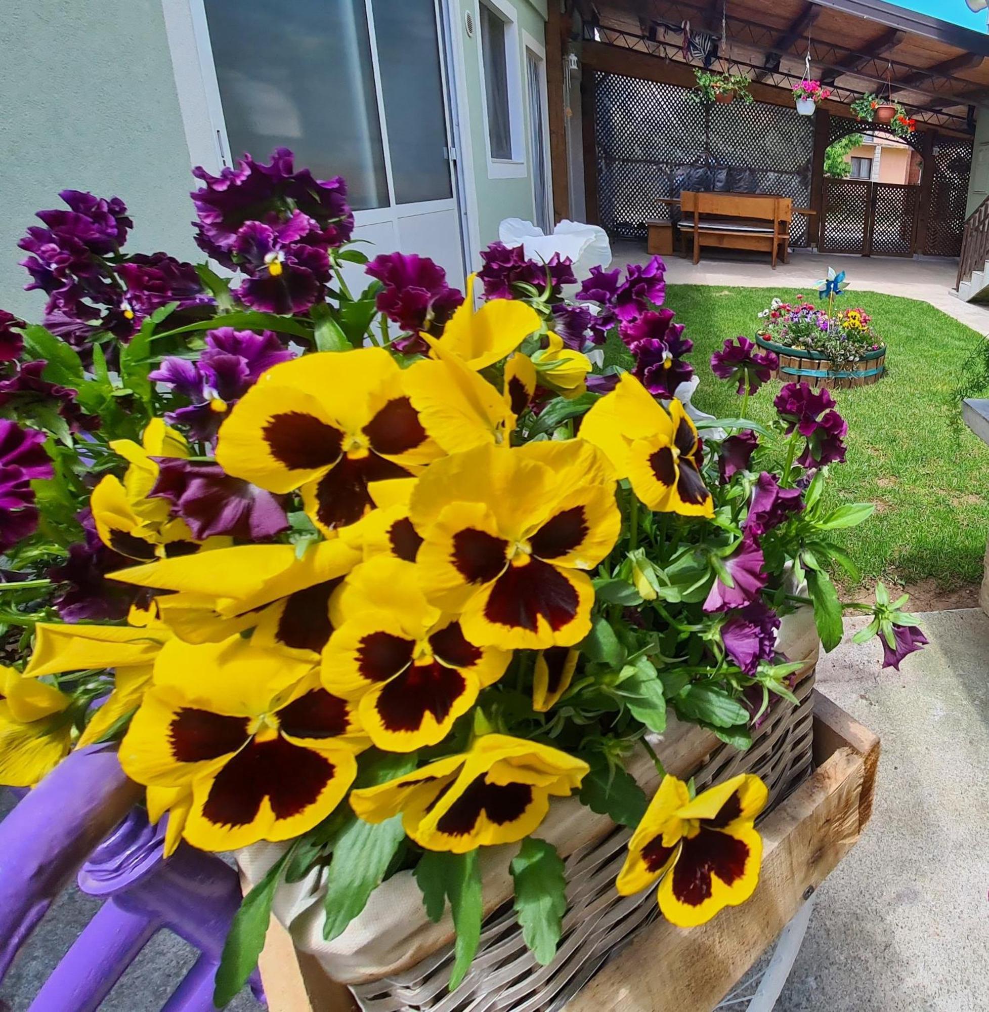 Ana Apartman Gračac Kültér fotó