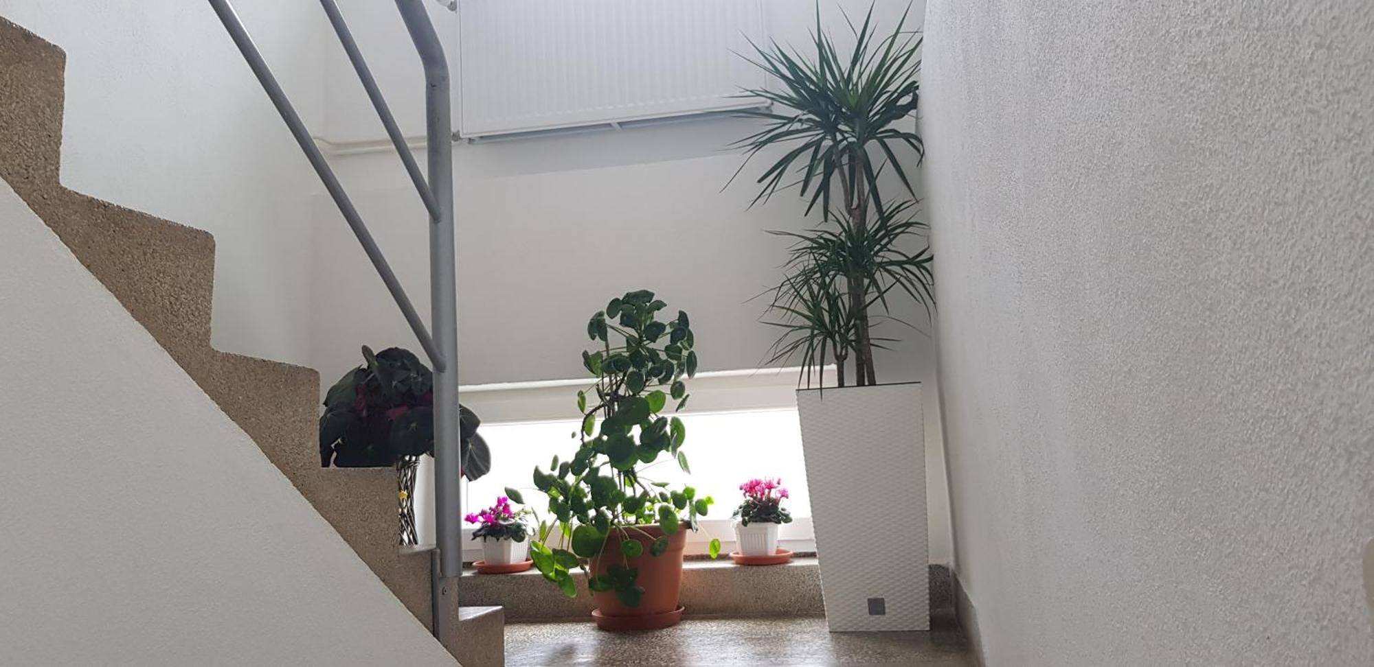 Ana Apartman Gračac Kültér fotó
